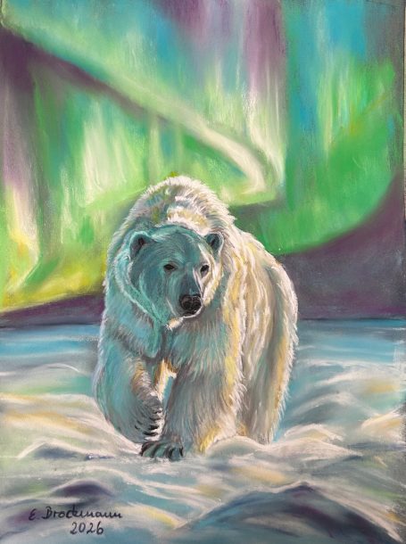 Polarbär